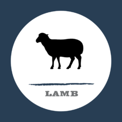 Lamb
